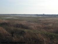 Imagine atasata: Bega - 2015.01.17 - 058.jpg